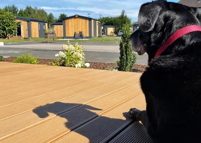 Tinyhaushotel - Campingpark *